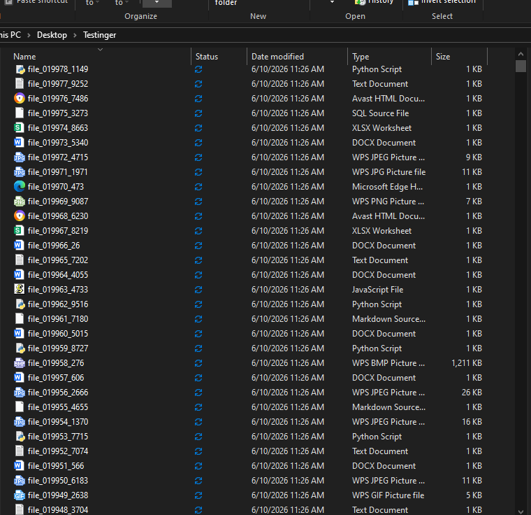A folder before Simplex File Organizer processes it